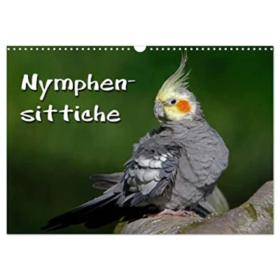 Abbildung von Nymphensittiche (Wandkalender 2025 DIN A3 quer), CALVENDO Monatskalender