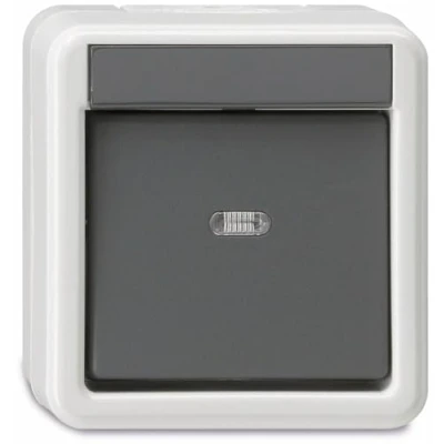 Abbildung von Gira Wippschalter 010630 Wechsel WG AP grau, 250 V