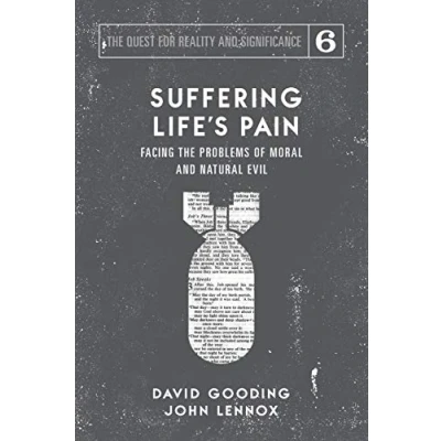 Abbildung von Suffering Life&#039;s Pain: Facing the Problems of Moral and Natural Evil (The Quest for Reality Significance, Band 6)