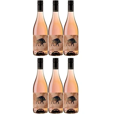 Abbildung von Bodegas Paniza Jabali Garnacha Cabernet Rosado Roséwein Wein halbtrocken Spanien I Visando Paket (6 x 0.75l)