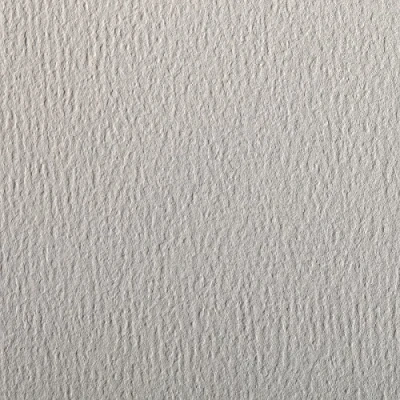 Abbildung von Clairefontaine 90881C Packung (mit 5 Bögen Zeichenpapier Etival Color, DIN A4, 21 x 29,7 cm, 160g, gekörnt, ideal für Trockentechnik und Einrahmen) hellgrau