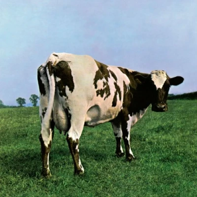 Abbildung von Atom Heart Mother (2016 Edition) [Vinyl LP]