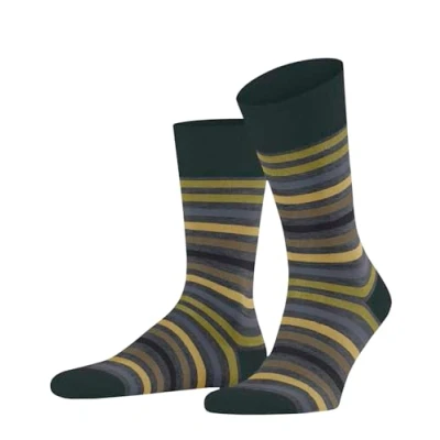 Abbildung von FALKE Herren Tinted Stripe M SO Wolle Baumwolle Gemustert 1 Paar Socken, Grau (Steel Melange 3205), 39 42
