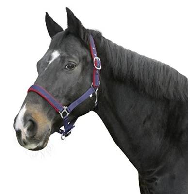 Abbildung von Covalliero Halfter Dexter Fleece Unterlegt Blau Pony