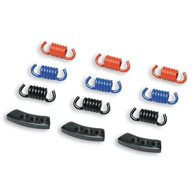 Abbildung von Kupplungsfedern Malossi Racing für Delta/Fly Clutch