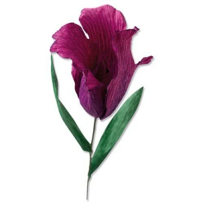 Abbildung von Sizzix Thinlits Matrizenset 5PK Tulpe mit Fransen von Olivia Rose, 664922, Kunststoff, Multicolor, Einheitsgröße