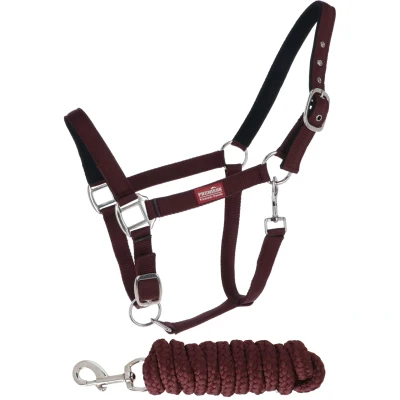 Abbildung von BR Premiere Halfter Set mit Karabinerhaken Full Braun