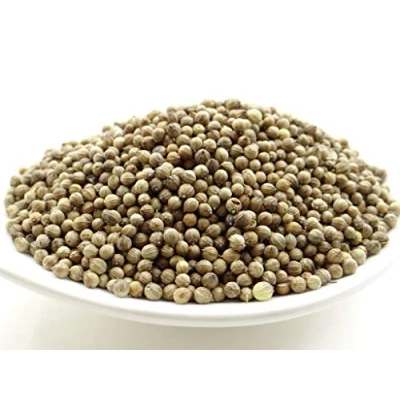 Abbildung von pikantum Bio Koriander ganz 1kg Koriandersaat Koriandersamen
