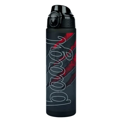 Abbildung von Baagl LAVA 700 ML Trinkflasche, Herren, Größe: One Size, Grau