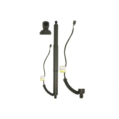 Abbildung von Elektromotor, Heckklappe MAGNUM TECHNOLOGY MGS0203MT