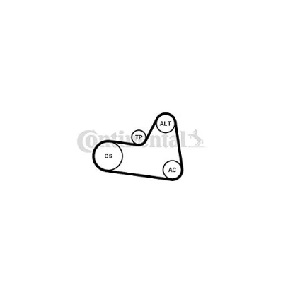 Abbildung von CONTITECH 6PK1710K1 Keilrippenriemensatz PEUGEOT: 206 Schrägheck, 206+ 407 SW, CITROËN: Berlingo II, C5 III Kombi, Xsara Picasso