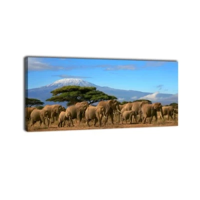 Abbildung von wandmotiv24 Leinwandbild Panorama Nr. 84 Kilimandscharo 100x40cm, Keilrahmenbild, Bild auf Leinwand, Berg Elefant Afrika