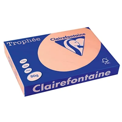 Abbildung von 5 x Clairefontaine Kopierpapier Trophee A3 80g/qm VE=500 Blatt lachs