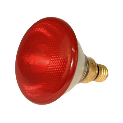 Abbildung von Kerbl Sparlampe PAR38 Rot 100W