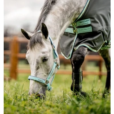Abbildung von Horseware Halfter Field Safe Blue Haze Vollblut