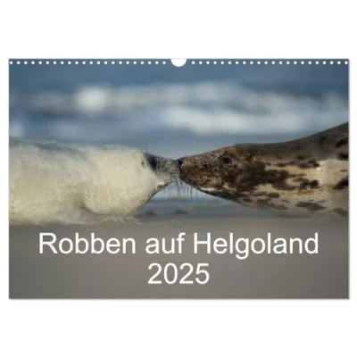 Abbildung von Robben auf Helgoland 2025 (Wandkalender DIN A3 quer), CALVENDO Monatskalender