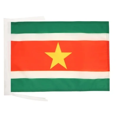 Abbildung von AZ FLAG Flagge Suriname 45x30 cm Mit Kordel Republik Fahne 30 x 45 Flaggen