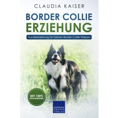 Abbildung von Border Collie Erziehung: Hundeerziehung für Deinen Welpen
