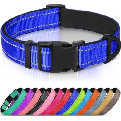 Abbildung von Joytale Halsband Hund, Gepolstertes Hundehalsband Breit aus Neopren Nylon Verstellbar für Große Hunde, Weich und Reflektierend Hundehalsbänder, L, Königsblau