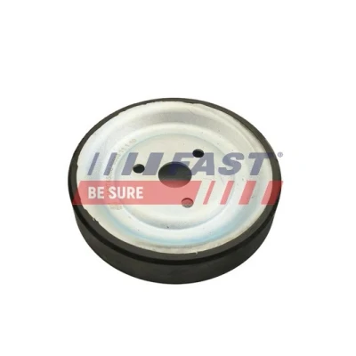 Abbildung von Riemenscheibe, Wasserpumpe FAST FT45568