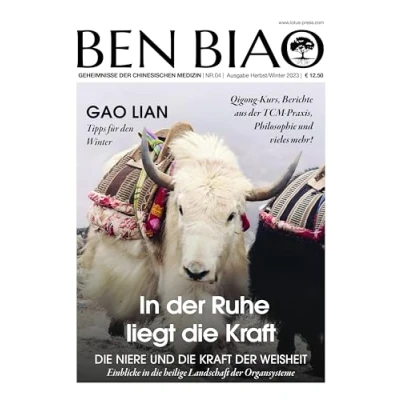 Abbildung von In der Ruhe liegt die Kraft: Niere und Kraft Weisheit (Ben Biao Geheimnisse Chinesischen Medizin, Band 4)