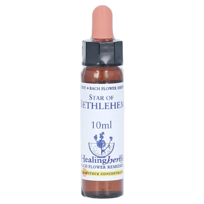 Abbildung von Bachblüten Star of Bethlehem Healing Her 10 ml