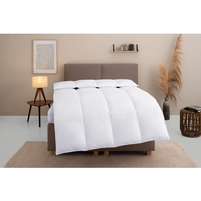 Abbildung von Home affaire Daunenbettdecke &quot;Marseilles Bettdecke 135x200 cm, 155x220 cm und weiteren Größen&quot;, warm, Bezug 100% Baumwolle, (1 St.)