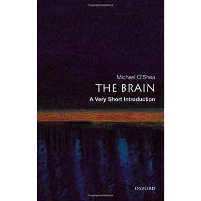 Abbildung von The Brain: A Very Short Introduction (Very Introductions)