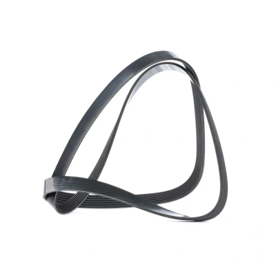 Abbildung von DAYCO 6PK1545 Keilrippenriemen 1545,0 6 BMW: 5 Touring, Limousine, X5, VOLKSWAGEN: Golf 4 Schrägheck, Variant, Bora Variant