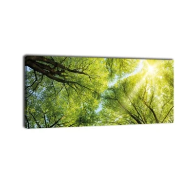 Abbildung von wandmotiv24 Leinwandbild Panorama Nr. 339 Baumkronen 100x40cm, Keilrahmenbild, Bild auf Leinwand, Wald Natur Geäst