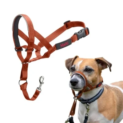 Abbildung von HALTI Kopfgeschirr Verhindert, dass Ihr Hund an der Leine zieht, Einfache Anpassung, Leicht, mit gepolstertem Nasenriemen, Anti Zug Halsband für kleine Hunde (Größe 1, Dunkelorange)