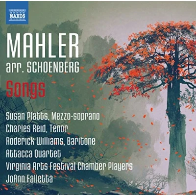Abbildung von Lieder Eines Fahrenden Gesellen/Lied Von der Erde
