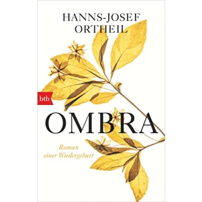 Abbildung von OMBRA: Roman einer Wiedergeburt