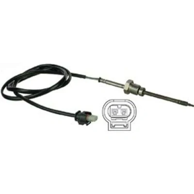 Abbildung von DELPHI TS30051 Sensor, Abgastemperatur MERCEDES BENZ: ML Klasse, JEEP: GRAND CHEROKEE 3, CHRYSLER: 300C Touring