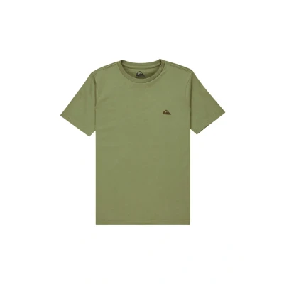 Abbildung von Quiksilver Kurzarm T Shirt, Basic SS, für Jungen, 8 16 Jahre, Grün, 12