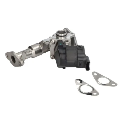 Abbildung von PIERBURG 7.24809.50.0 AGR Ventil elektrisch Steuerventil mit Dichtung BMW: 3 Touring, 1 Schrägheck, 5 Touring