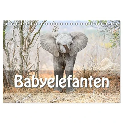 Abbildung von Babyelefanten (Tischkalender 2025 DIN A5 quer), CALVENDO Monatskalender
