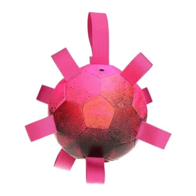 Abbildung von Dog Comets Tierball Hypernova Rosa