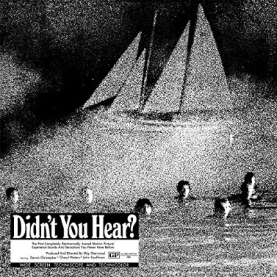 Abbildung von Didn&#039;T You Hear? [Vinyl LP]