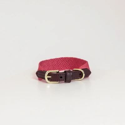 Abbildung von Kentucky Kragen Jacquard Rosa 50cm
