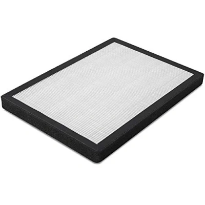 Abbildung von HEPA Filter (95% Filterleistung) für AirgoClean® 100 E
