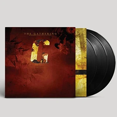 Abbildung von Accessories Rarities and B Sides [Vinyl LP]