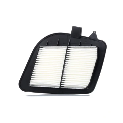 Abbildung von BLUE PRINT ADA102220 Luftfilter 35 278 322 Filtereinsatz CADILLAC: SRX