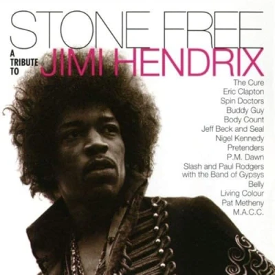 Abbildung von Stone Free: A Tribute to Jimi Hendrix