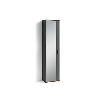 Abbildung von byLIVING Spiegel Schrank Jakob/Eintüriger Hochschrank mit Spiegeltür/Anthrazit/Griffe schwarz/Tür variabel rechts oder Links / 5 Fächer/Garderoben Schrank/B 49, H 196, T 30 cm