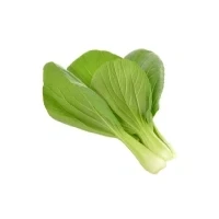 Abbildung von Click &amp; Grow PAK CHOI PFLANZENPADS, Essbare Pflanze, Nachfüllen, Schnellwachsend (3 5 Wochen), 7 14 Tag(e), 1 Monat( e), 18 24 C