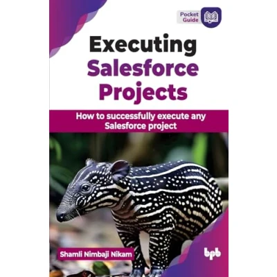 Abbildung von Executing Salesforce Projects: How to successfully execute any project (English Edition)