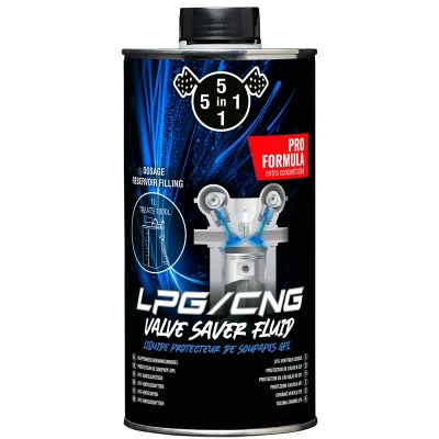 Abbildung von 5in1 LPG Ventilreiniger1000ml