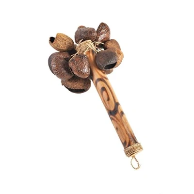 Abbildung von Rassel Shaker Maracas Musik Holzrassel Rhythmus Klang Instrument Percussion Früchte
