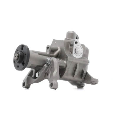Abbildung von NTY SPW BM 022 Hydraulikpumpe hydraulisch BMW: X5, 5 Limousine